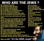 Its-the-Jews[2].jpg