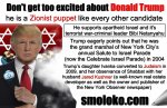donaldTrumpZionistMeme[2].jpg