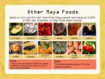 Other+Maya+Foods+Maize+or+corn+was+the+main+food+of+the+Maya+people+and+made+up+to+80%25+of+th...jpg