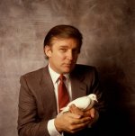 42784e0e-7470-4d49-9d70-f16bab27d7e4.jpeg 42784e0e-7470-4d49-9d70-f16bab27d7e4.jpeg