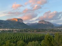finca-alaro-04[1].jpg
