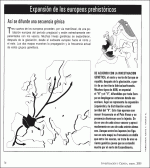 iritzi1.gif