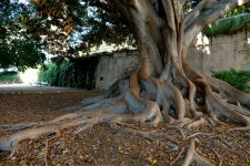 dsc02758[1].jpg