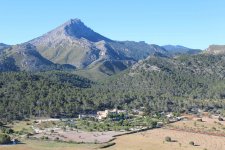 IMG_6996[1].jpg