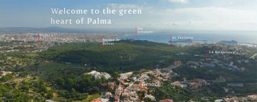 Header-Green-Palma[1].jpg