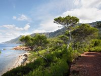 2r0h778-coastal-trail-near-port-886554767[1].jpg