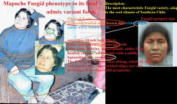 264253503_450399256445009_6180767478422266744_n (2).jpg