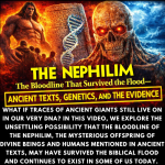 unnamed - 2026-03-27T185159.725.png