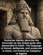 images[1].jpg