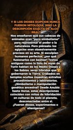 images[4].jpg