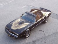78PTA1469801[2].jpg