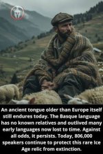 images[4].jpg