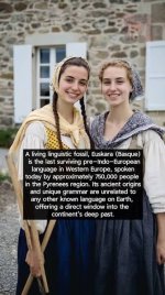 images[2].jpg