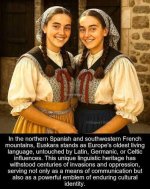images[2].jpg