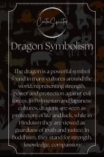 images[2].jpg
