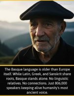 images[1].jpg