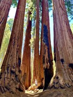 unnamed[1].jpg