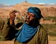 Berber NA.jpg