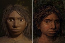 denisovan-illustrations.jpg
