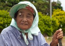 elderly-japanese-ryukyuan-woman-playing-gateball-a-japanese-version-of-croquet-kurima-island-o...jpg