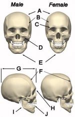 e21ba92c193cc24fb3b0c62e2bfa072a.jpg