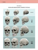 age-related-morphological-changes-of-skull.jpg