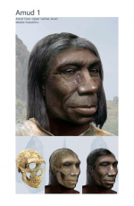 1679016497272.png