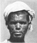 troe106.jpg