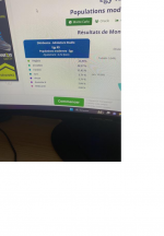 19.png