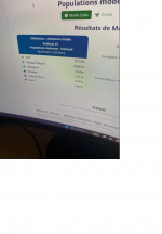 17.png