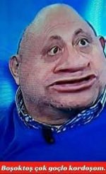 images (35).jpeg
