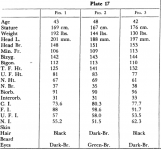 plate17.PNG