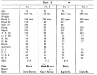 plate16.PNG