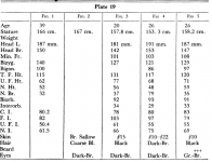 plate19.PNG
