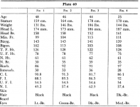 plate40.PNG plate40.PNG